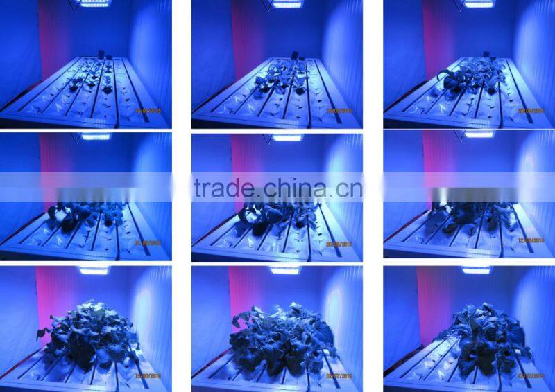 Led plant grow light hydroponic indoor plant growing systems