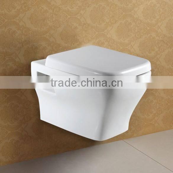 Eureap Style Wall Mounted WC Toilet