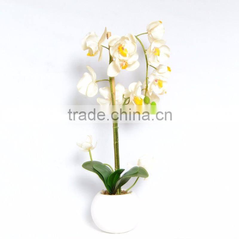 Artificial Silk Phalaenopsis Orchids Centerpiece in Ceramic Base