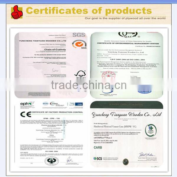 28mm container flooring plywood manufacturer China