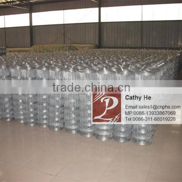 Hot dipped galvanized wire mesh fence/ boundary fencing