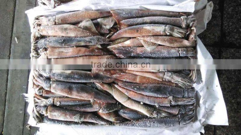 Frozen Illex Argentinus Squid Whole 100g down