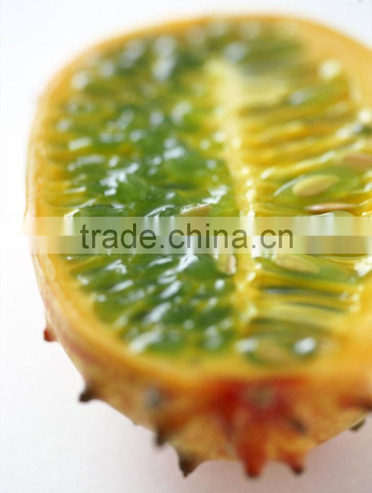 Kewana seeds Jelly Melon Seeds The horned Melon For Growing