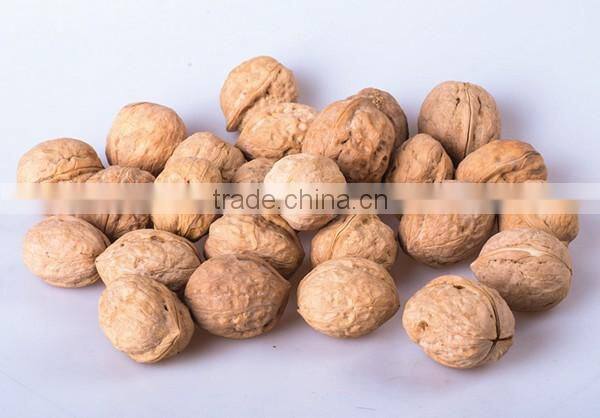 Wholesale Chinese Walnut kernel with marketing price for eating