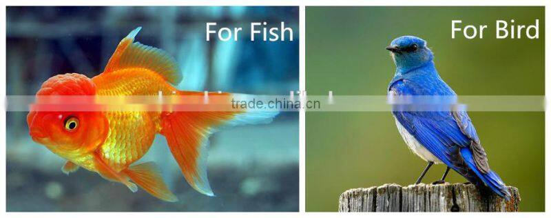 Pure Astaxanthin Powder for Animal's Colors