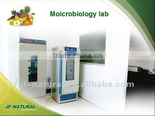 100% natural Gardenia Blue Powder ISO, GMP, HACCP, KOSHER, HALAL certificated manufacture