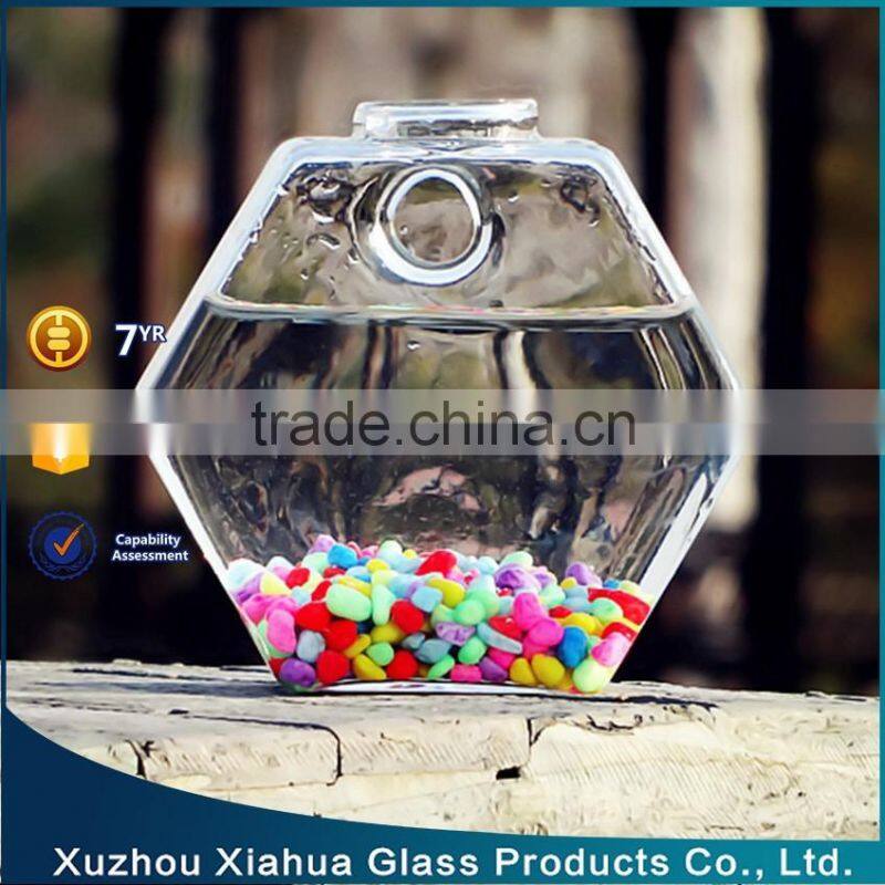 hexagon hanging glass terrarium