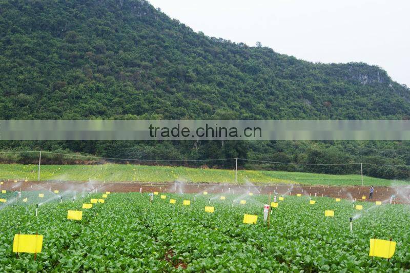 Pheromone lure of Diaphorina citri and trap set