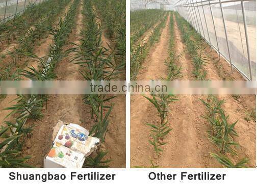 Liquid Fertilizer With Bacteria
