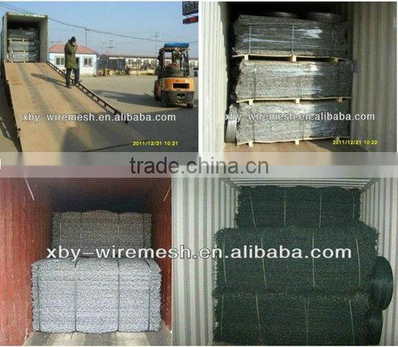 Aviary Netting/Poultry Netting/Hexagonal Mesh