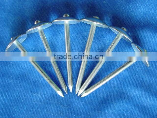 roofing nail 2014 hot sale !!! JOINT VENTURE anping wire mesh factory