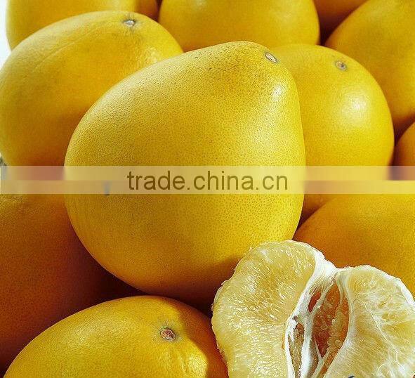 hot sale satinless steel guava peeling machine