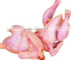 2013 hot sale chicken plucker machine