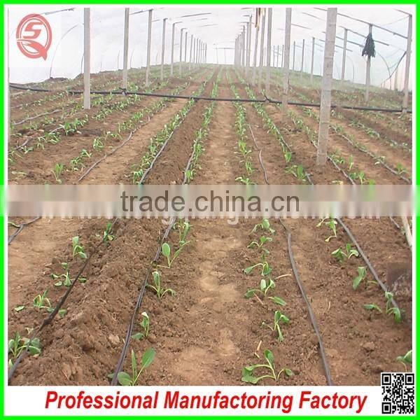 Hot sale 8.0m multi-span agriculture plastic greenhouse frame in China