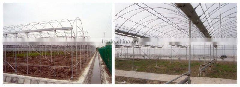 Pc Sheet / Polycarbonate Greenhouse For Flower Growing