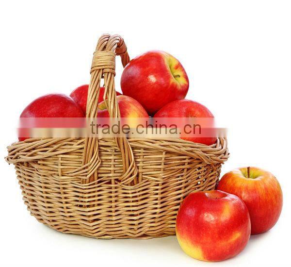 2pcs cheap natural wicker basket liners wholesale+willow basket