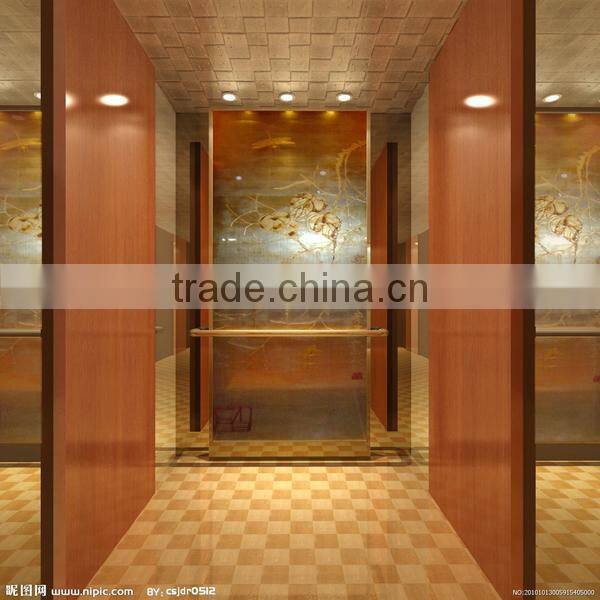 Shopping Mall Elevator Decoration Stainless Steel Elevator Door Panel on Sale
