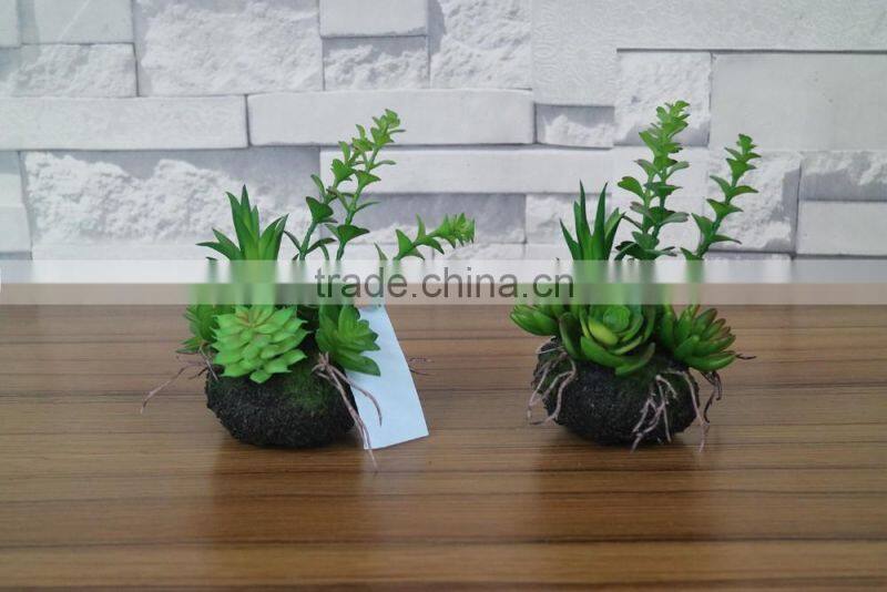 Plastic succulent plants producer and factory
