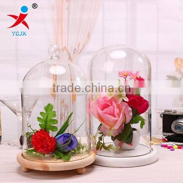 clear decorative glass dome with black wooden base