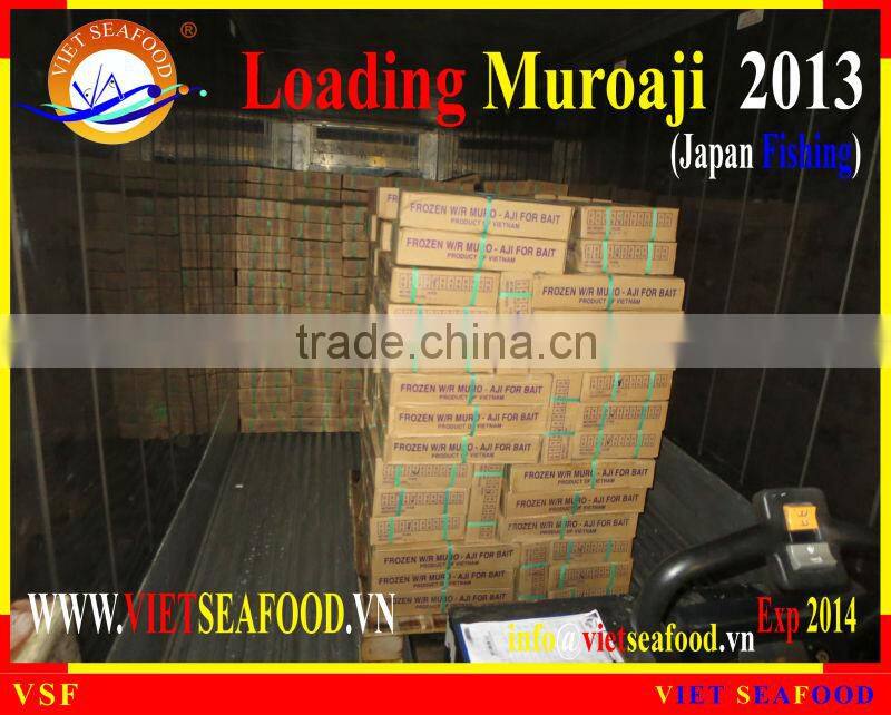 LOADING MUROAJI FOR TUNA BAIT