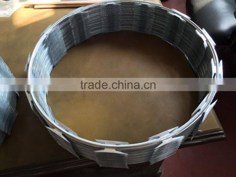 Pakistan salable The purpose of razor barbed wire/razor wire