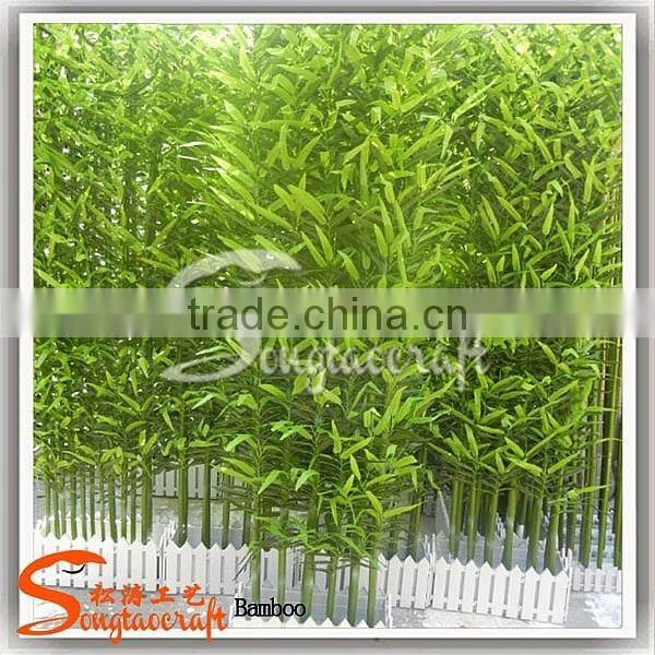 China supplier new product bamboo price plastic lucky bamboo plants for sale