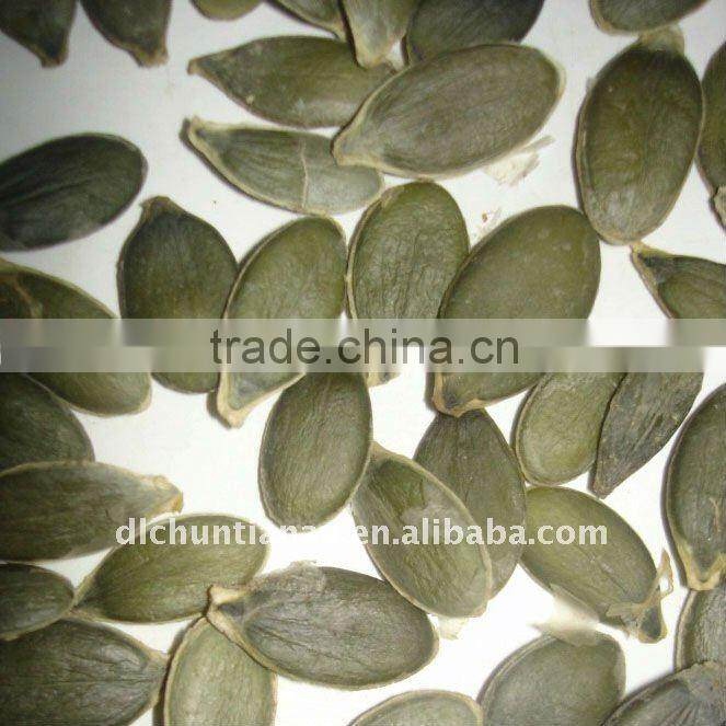 Pumpkin seed