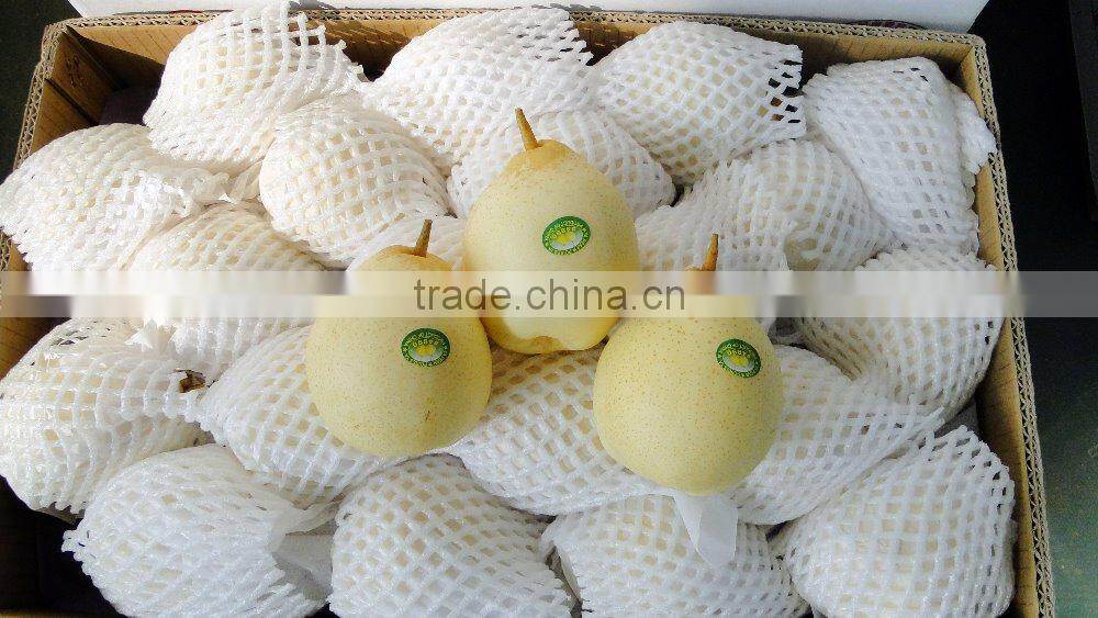 Hot sale Chinese fruit new crop sweet fresh Ya Pear factory price