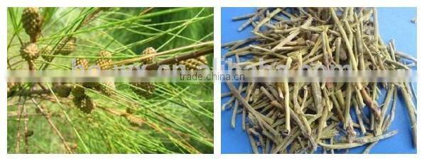 vacuum powder continuous dryer for ephedra