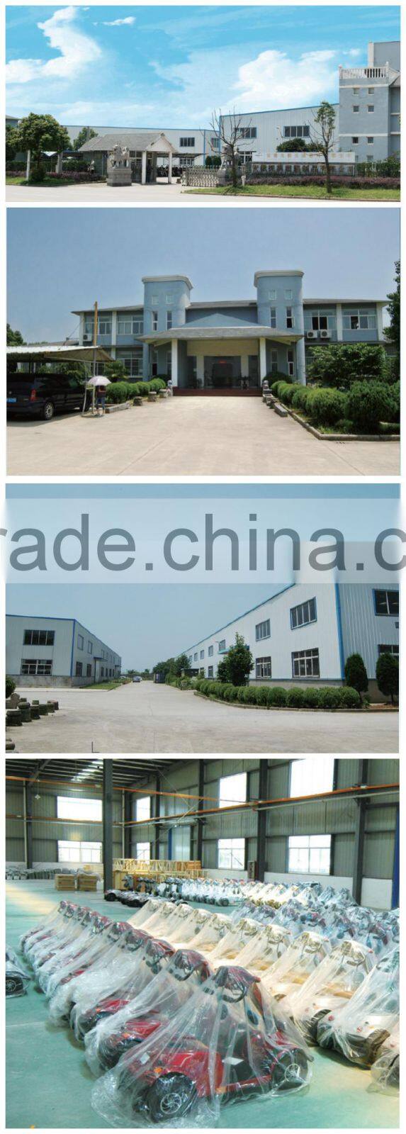 rehabilitation therapy vehicle electric mobility scooter