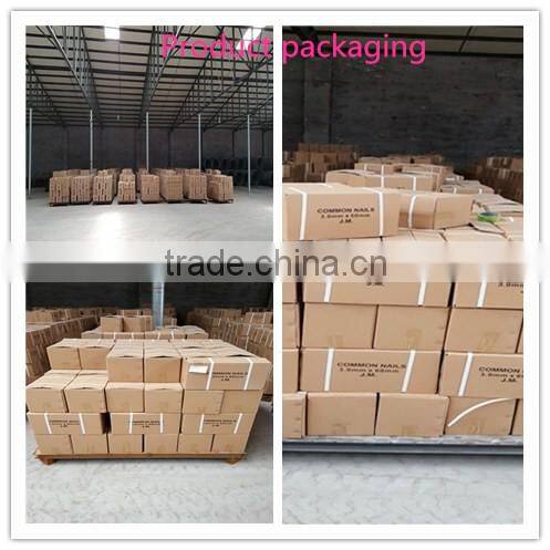 Factory directly supplied stainless steel iron twist tie electrical wire soft annealed iron wire electro galvanized wire