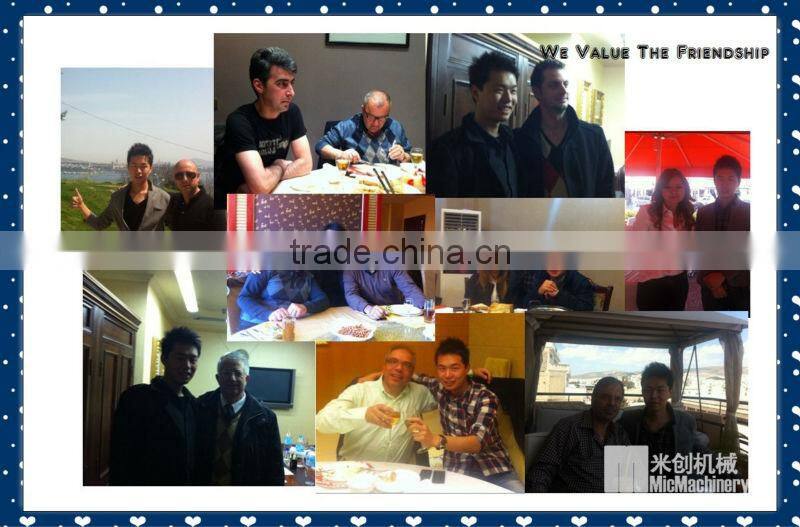 Mic 50-50-12D Automatic small carbonated drink filling machine