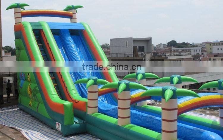 buy outdoor giant inflatables water slides for kids and adults