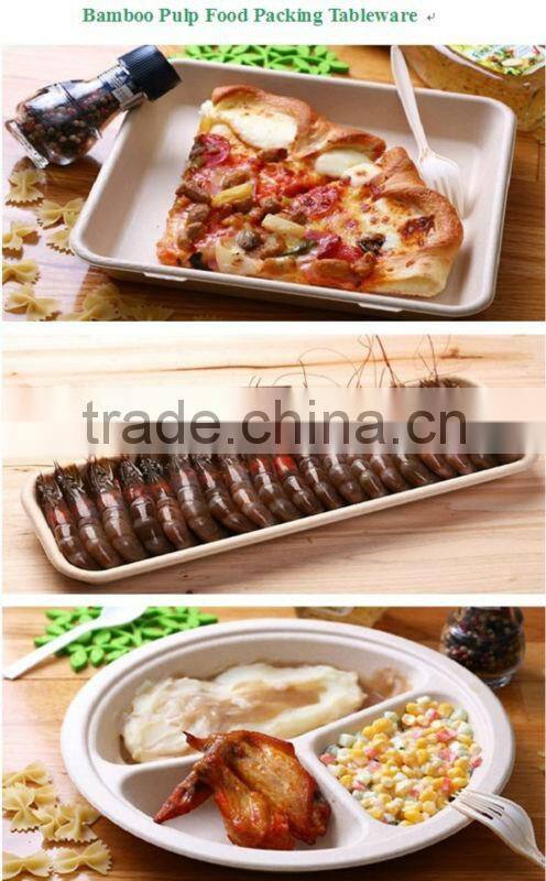 disposable bamboo food Plate