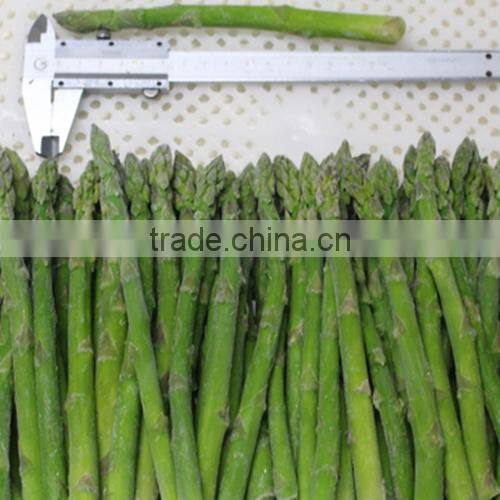 IQF style high quality green asparagus