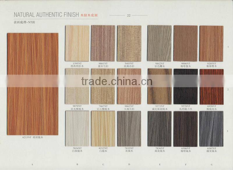 Remica natural authentic finish hpl lamiantes panel