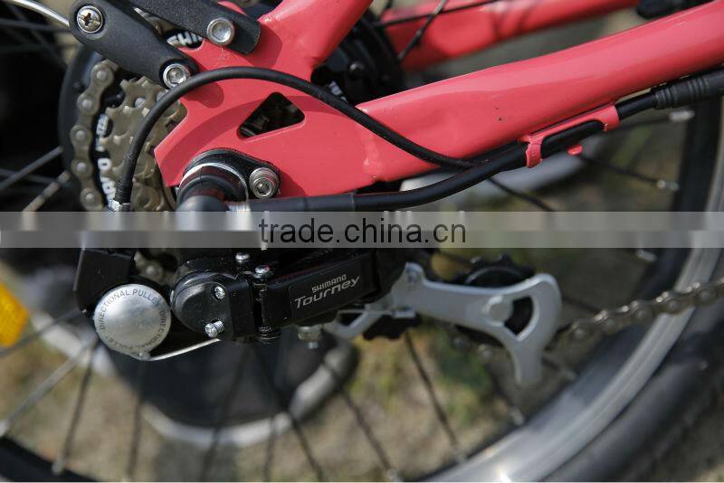 Small city electric bicycle 2014 new design e-bike motor 250w 24v