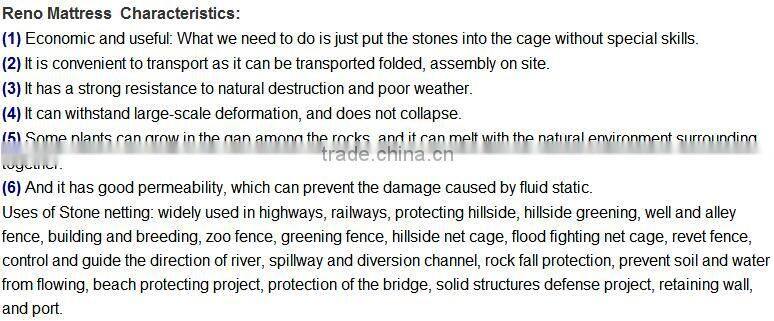 Gabion wire mesh