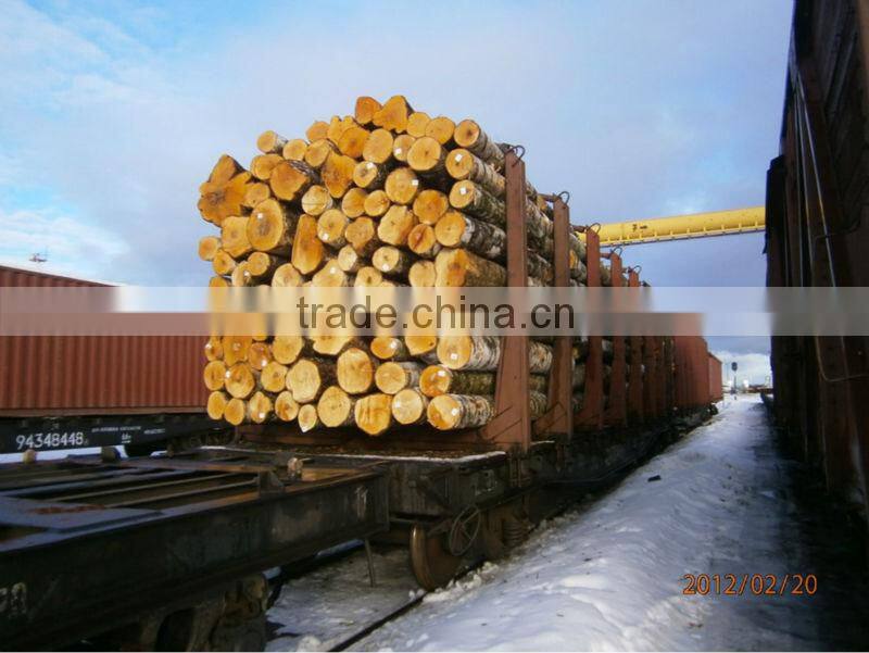 modern european style wooden chairs