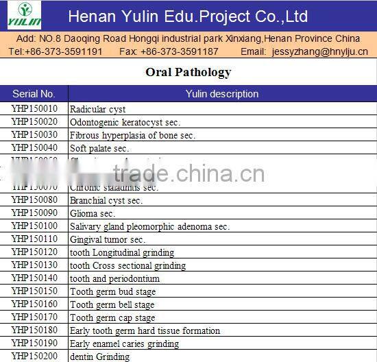 human histological oral slides pathological prepared slides