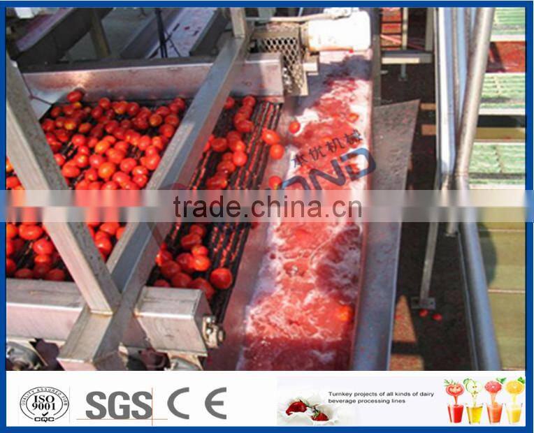 tomato paste machine
