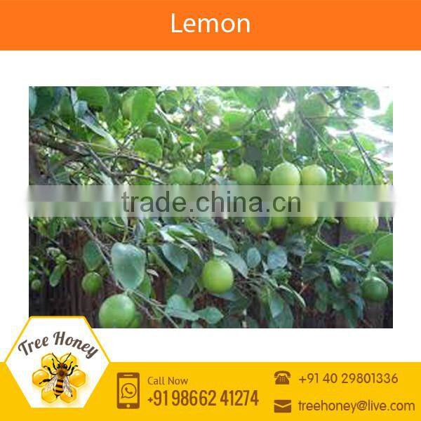 Organically Grown Fresh Lime/Lemon Available for Sale
