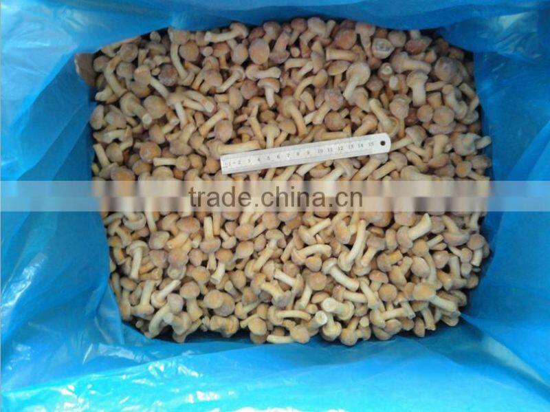 ISO BRC iqf nameko mushrooms