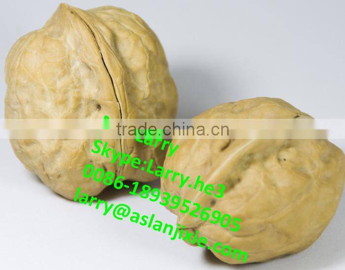 nut size sorting machine/walnut size grader/walnut size sorter