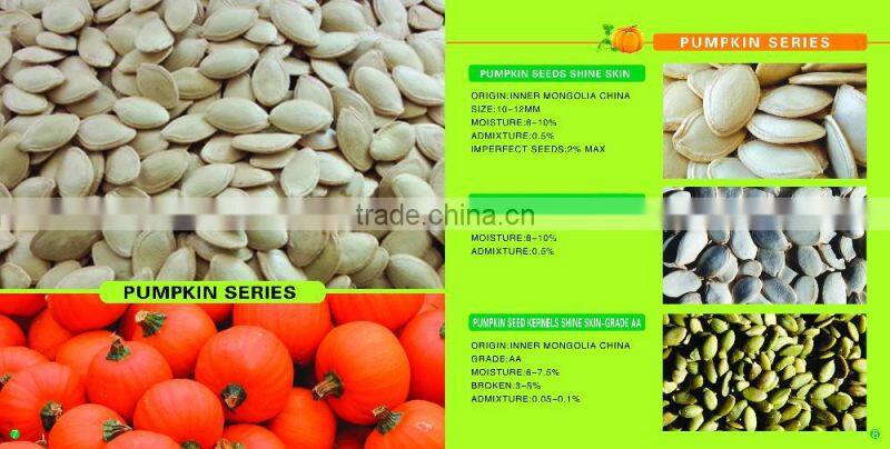 new crop chinese white pumpkin seeds shine skine for sell