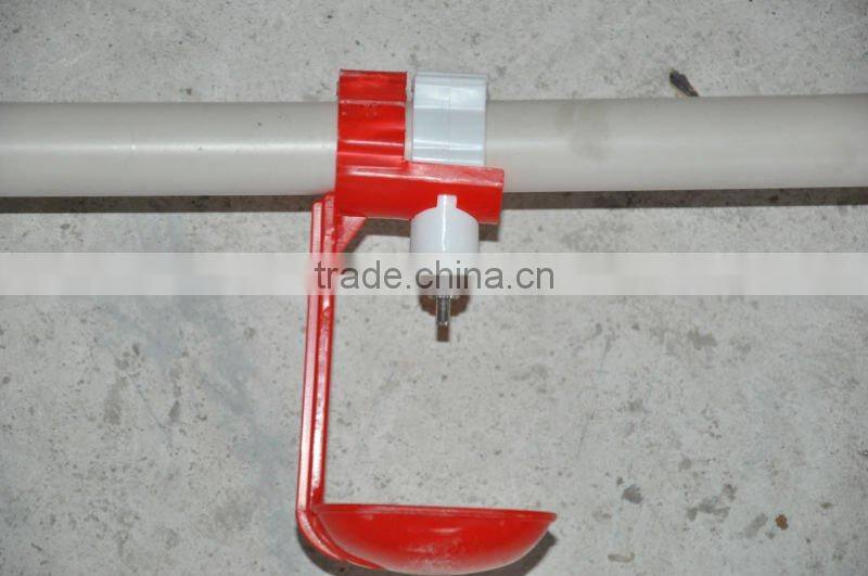 chicks feeder and drinker equipment