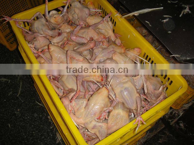 poultry slaughter machine for broiler