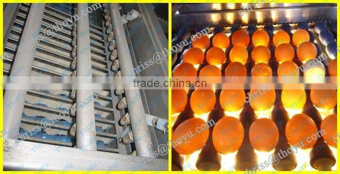 2014 Newest price of egg protein&protein separator machine from factory directly selling