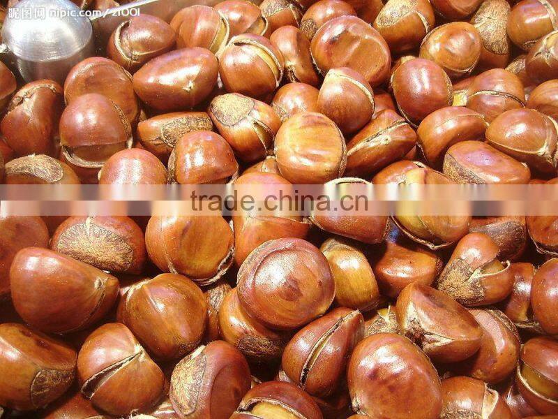 Roaster for nuts