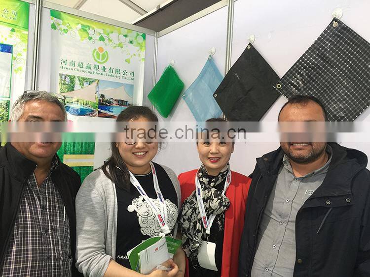 Top quality anti-insect net virgin hdpe anti insect mesh